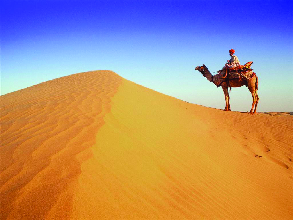 https://d3r8gwkgo0io6y.cloudfront.net/upload/camel in desert.jpg